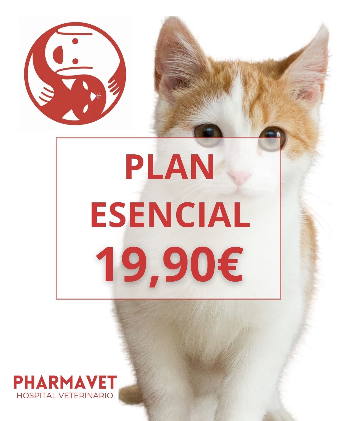 PLAN SALUD ESENCIAL